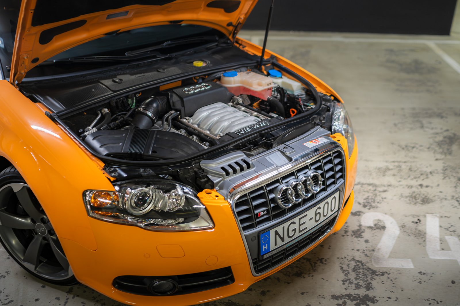 _DSC5186-Enhanced-NR