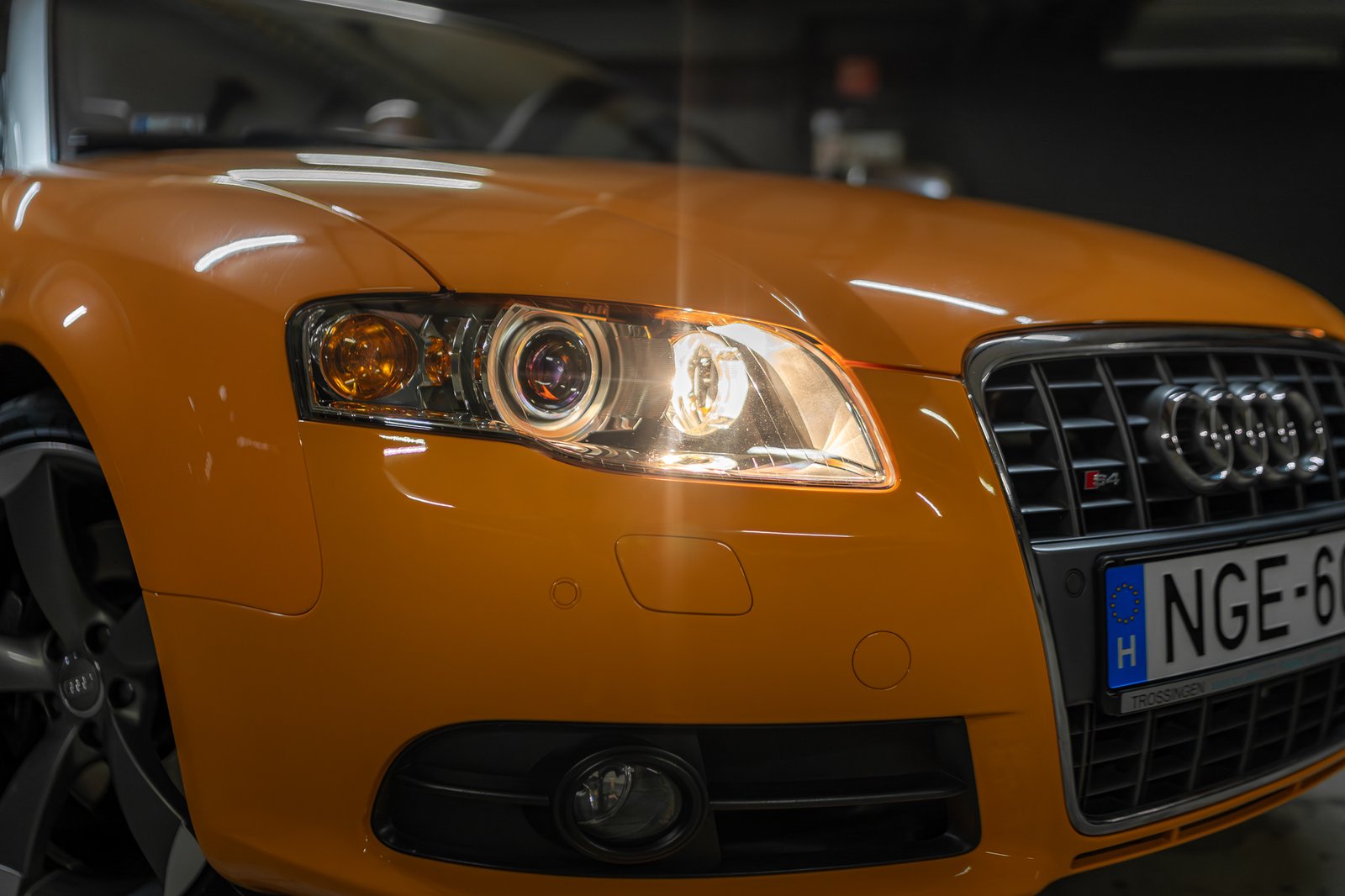 _DSC5250-Enhanced-NR